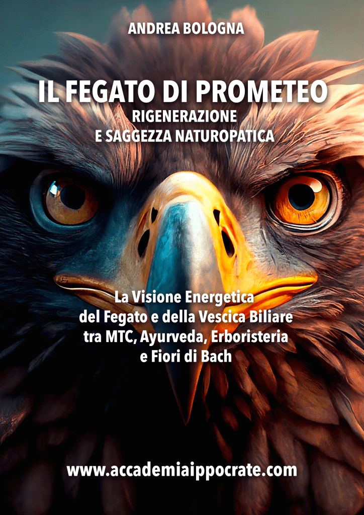COPERTINA-FEGATO-PROMETEO-724x1024 Libri Scuola Naturopatia