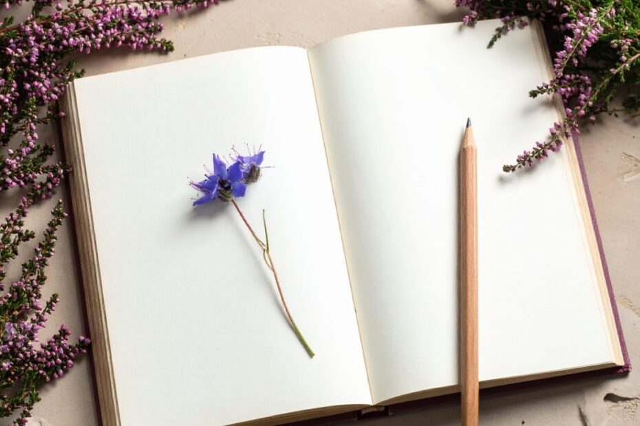 Naturopatia: non si studiano materie, si impara a leggere una persona 1 Firefly crea foto still life con un libro aperto matita e alcuni fiori come star of bethlem 581697