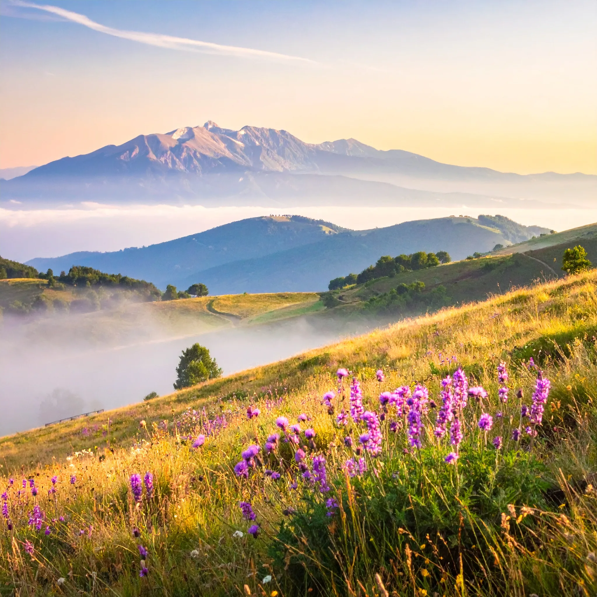Corso di naturopatia online per chi vive a Abruzzo